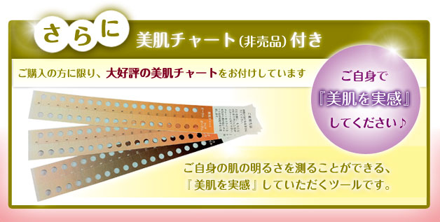 さらに非売品の美肌チャート付き（オークル１枚・ピンク１枚・ダーク１枚）
