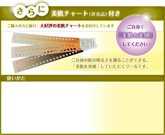 さらに非売品の美肌チャート付き 美肌チャートの使い方