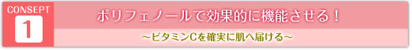 コンセプト１　ポリフェノールでビタミンCを効果的に機能させる