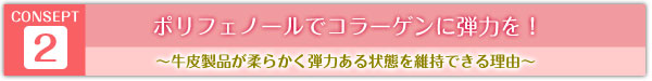 コンセプト２　ポリフェノールでコラーゲンに弾力を与える