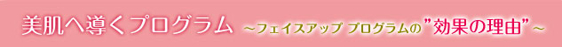 美肌へ導くプログラム、フェイスアッププログラムの効果の理由