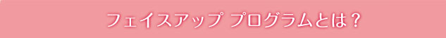 アッププログラムとは？